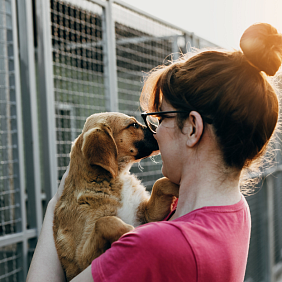 Woman holding a dog at an animal shelter