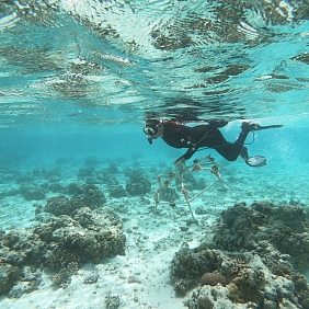 Mars_Petcare_Sheba_Hope_Ambassador_3