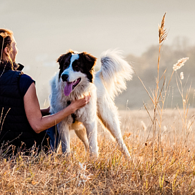 Woman sitting in a field with her dog