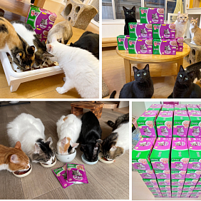 Mars Kalkancampainresult_780