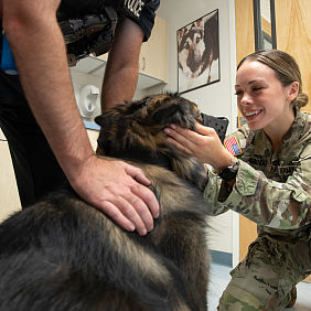 Military lady petting dog