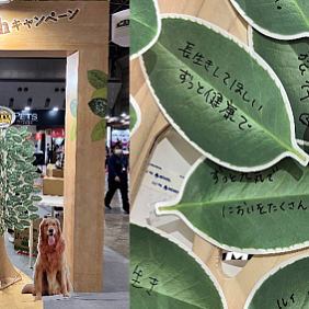 Mars Interpets2024after_HERO