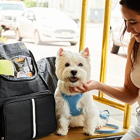 Cesar x TripAdvisor Partnership