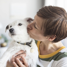 Pandemic Pet Population Boom