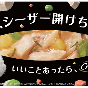 Mars Cesar_Camp_20240701_Main