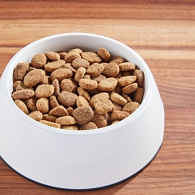 Dog food bowl