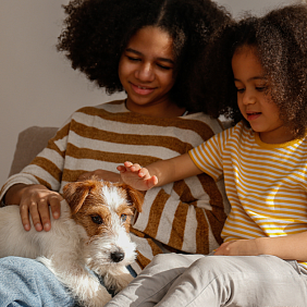 Two children petting a dog on a couch