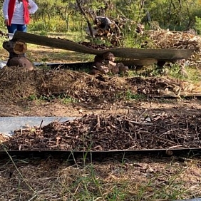 Mars México y nuestro compromiso de equilibrio hídrico