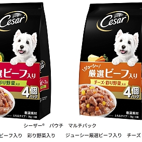 シーザーパウチ文字入り img