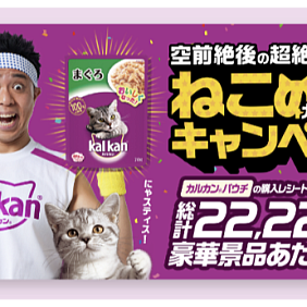 メインイメージ用_カルカン猫の日KV（プレスリリース用） banner
