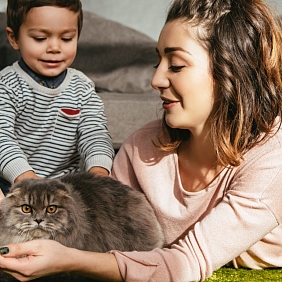 UN MUNDO MEJOR PARA LAS MASCOTAS