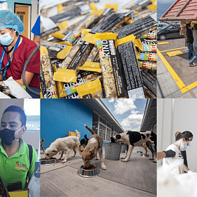 Imagen collage donaciones_0