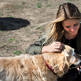 Better Cities for Pets