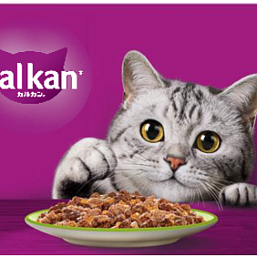 Kalkan_Renewal Hero_20250117