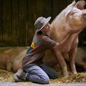 Mars Petcare PM deutscher