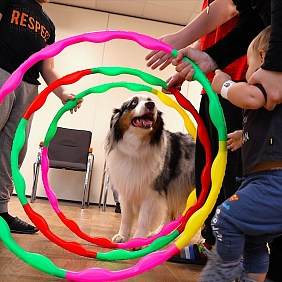 Dogoterapia Mars Polska, Fundacja Dr Clown