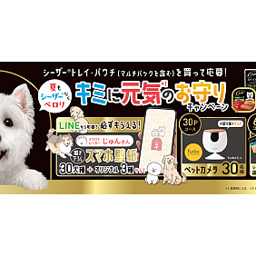 CesarCP Hero_20250530