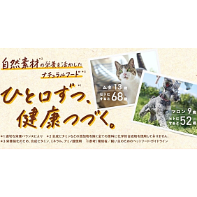 NutroCP Hero_20250530