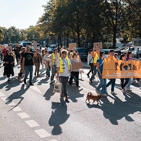 Mars_Petcare_Paw_Parade 2025