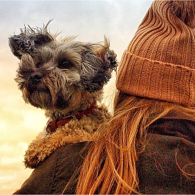 Radosna jesień z pupilem