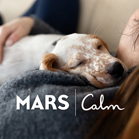 Mars x Calm