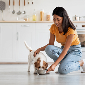 Woman feeding dog