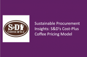 S&D Sustainable Procurement Insights PDF cover