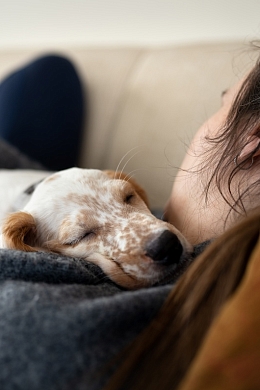 Person and a dog relaxing together