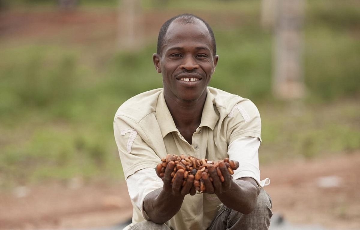 Ethical cocoa harvesting in Cote d'Ivoire