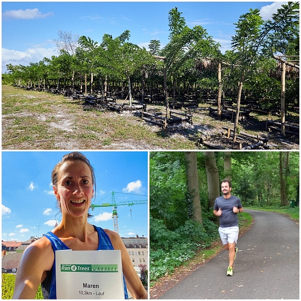 Collage_Run4Trees image