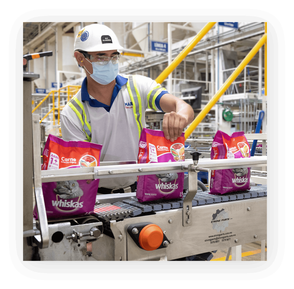 Global Policies & Practicies big